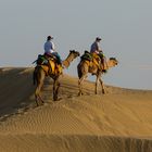 In der Wüste Thar
