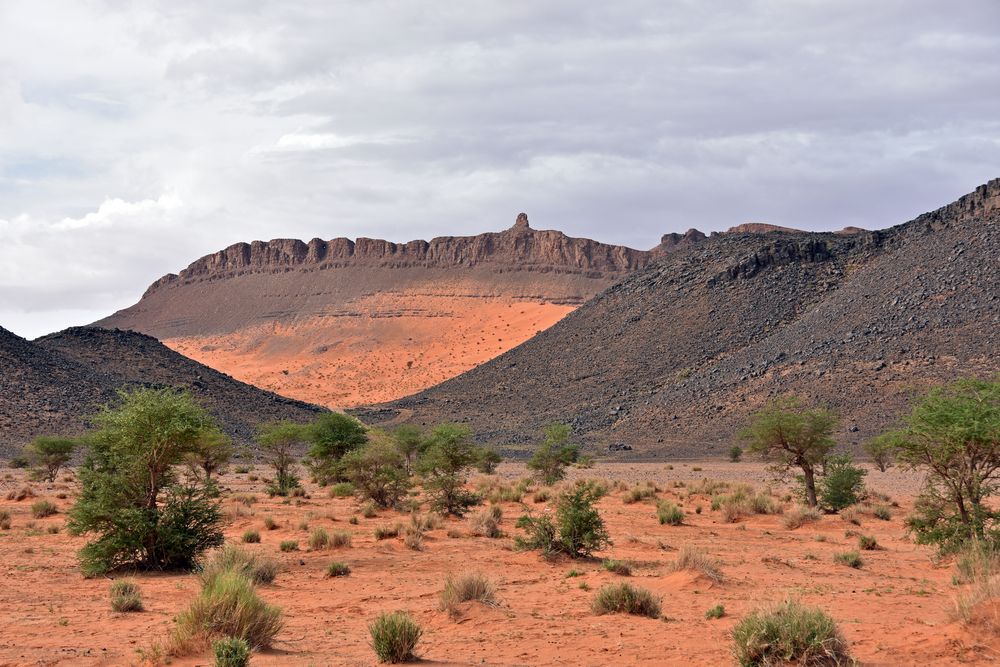 In der Wüstenregion bei Tafraout Hassi Fougani