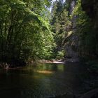 In der Wutach Schlucht