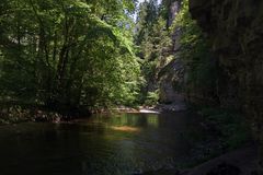 In der Wutach Schlucht