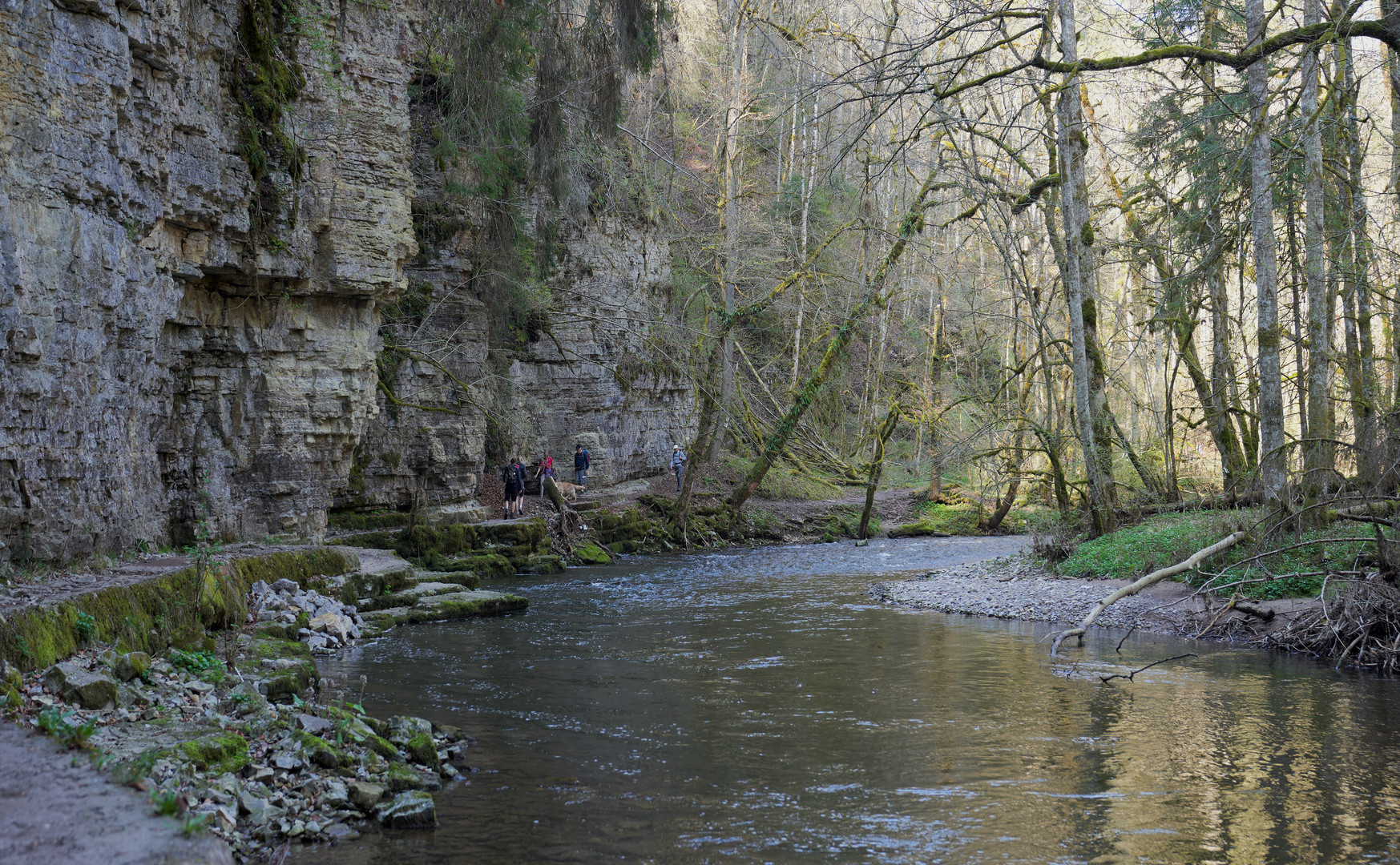 in der Wutachschlucht