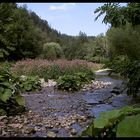 In der Wutachschlucht