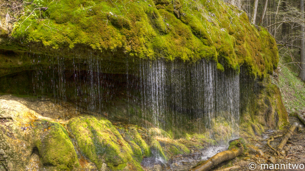 In der Wutachschlucht 1 - Schwarzwald