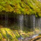 In der Wutachschlucht 1 - Schwarzwald