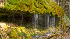 In der Wutachschlucht 1 - Schwarzwald