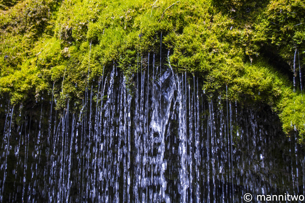 In der Wutachschlucht 2 - Schwarzwald