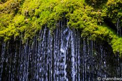 In der Wutachschlucht 2 - Schwarzwald