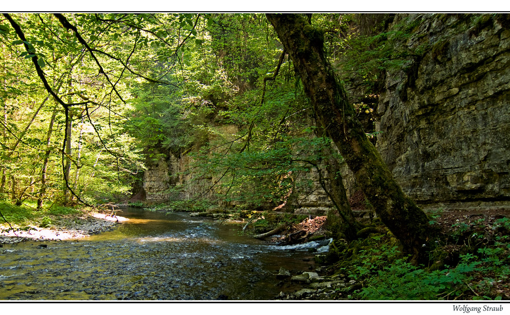 in der Wutachschlucht