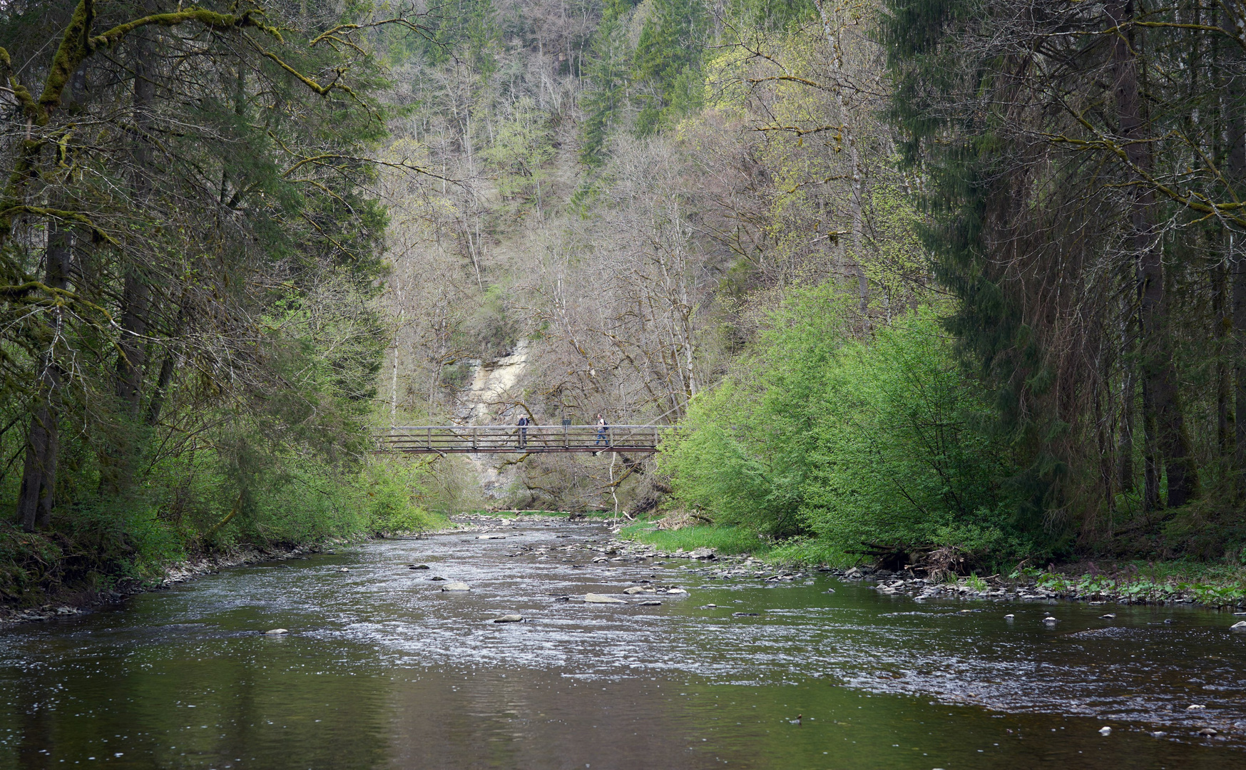 in der Wutachschlucht