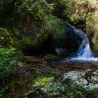 In der Ysper-Klamm ...