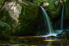 In der Ysper-Klamm ...