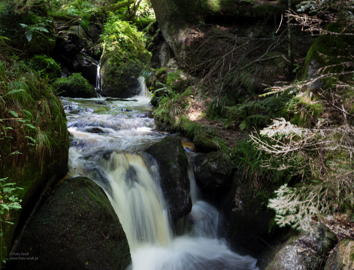 ... in der Ysperklamm