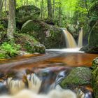 In der Ysperklamm