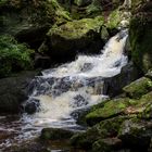 In der Ysperklamm