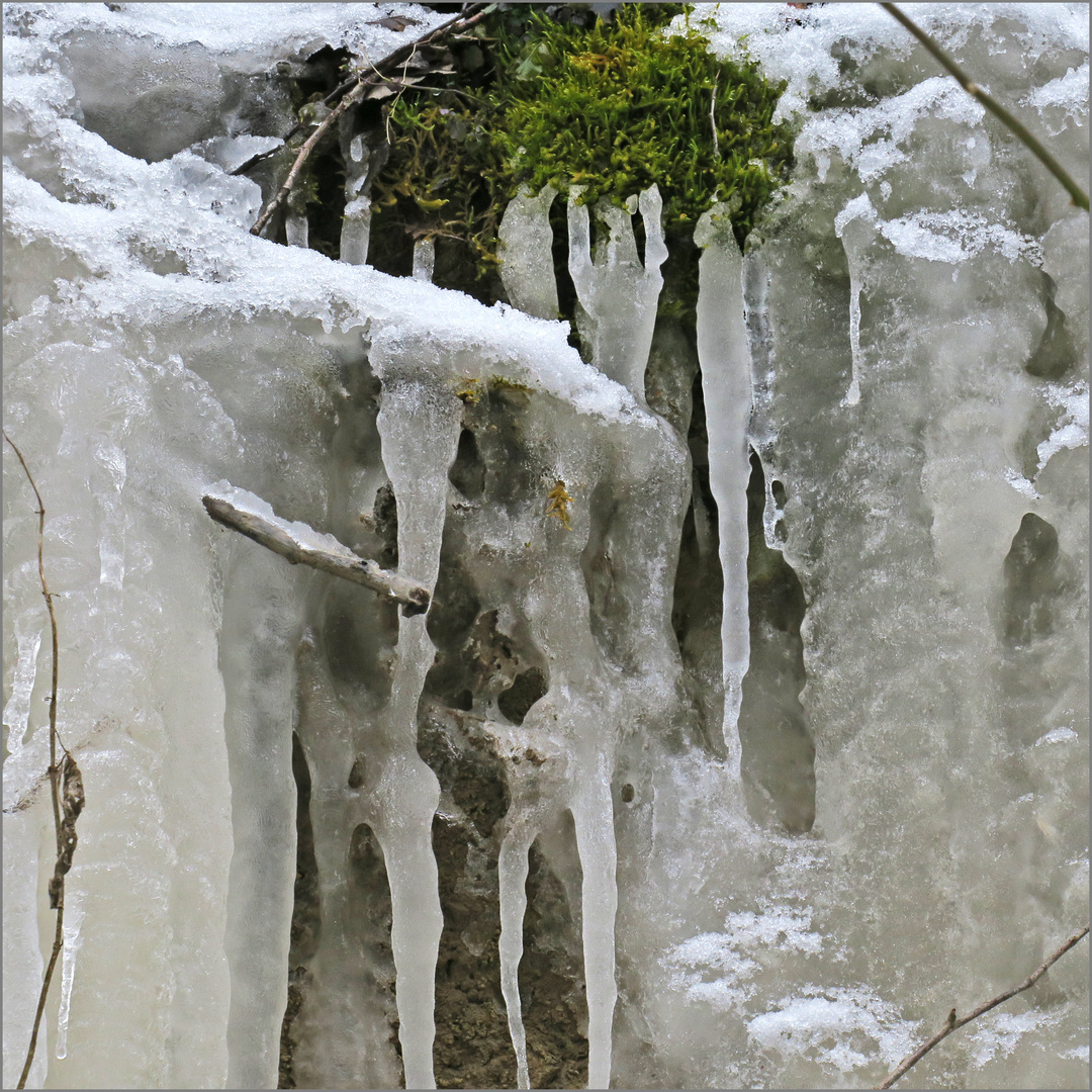 in der Zauberschlucht (4)