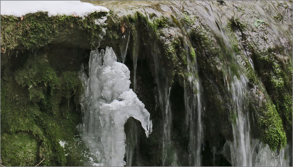 in der Zauberschlucht (5)