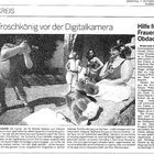 In der Zeitung