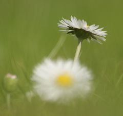 In der "zweiten Reihe"