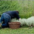 In die Arbeit vertieft