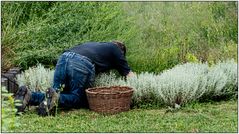 In die Arbeit vertieft