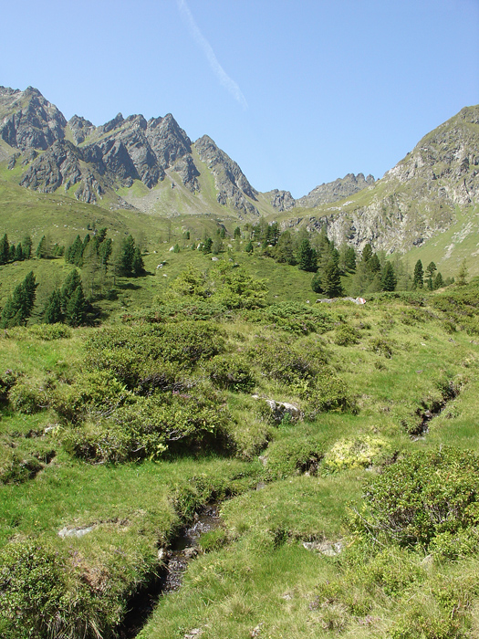 In die Berg...