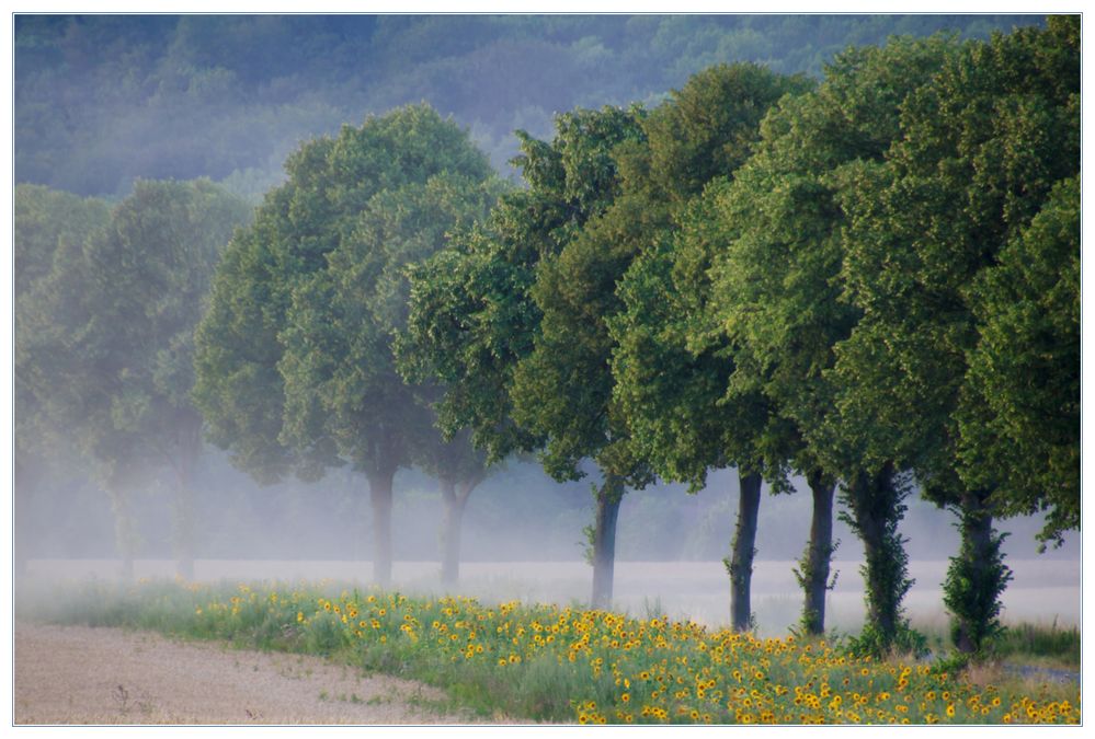 In die Blaue Stunde hinein... - Sommer-Impression