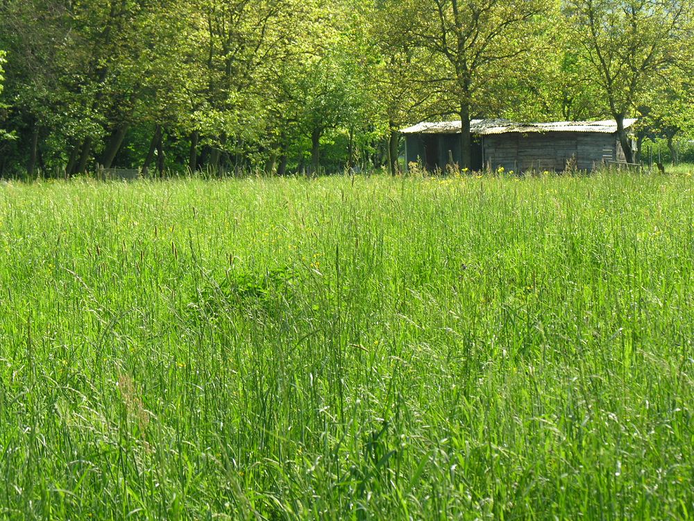 In die Bruche Tal, in Elsass, zwischen Molsheim und Mutzig