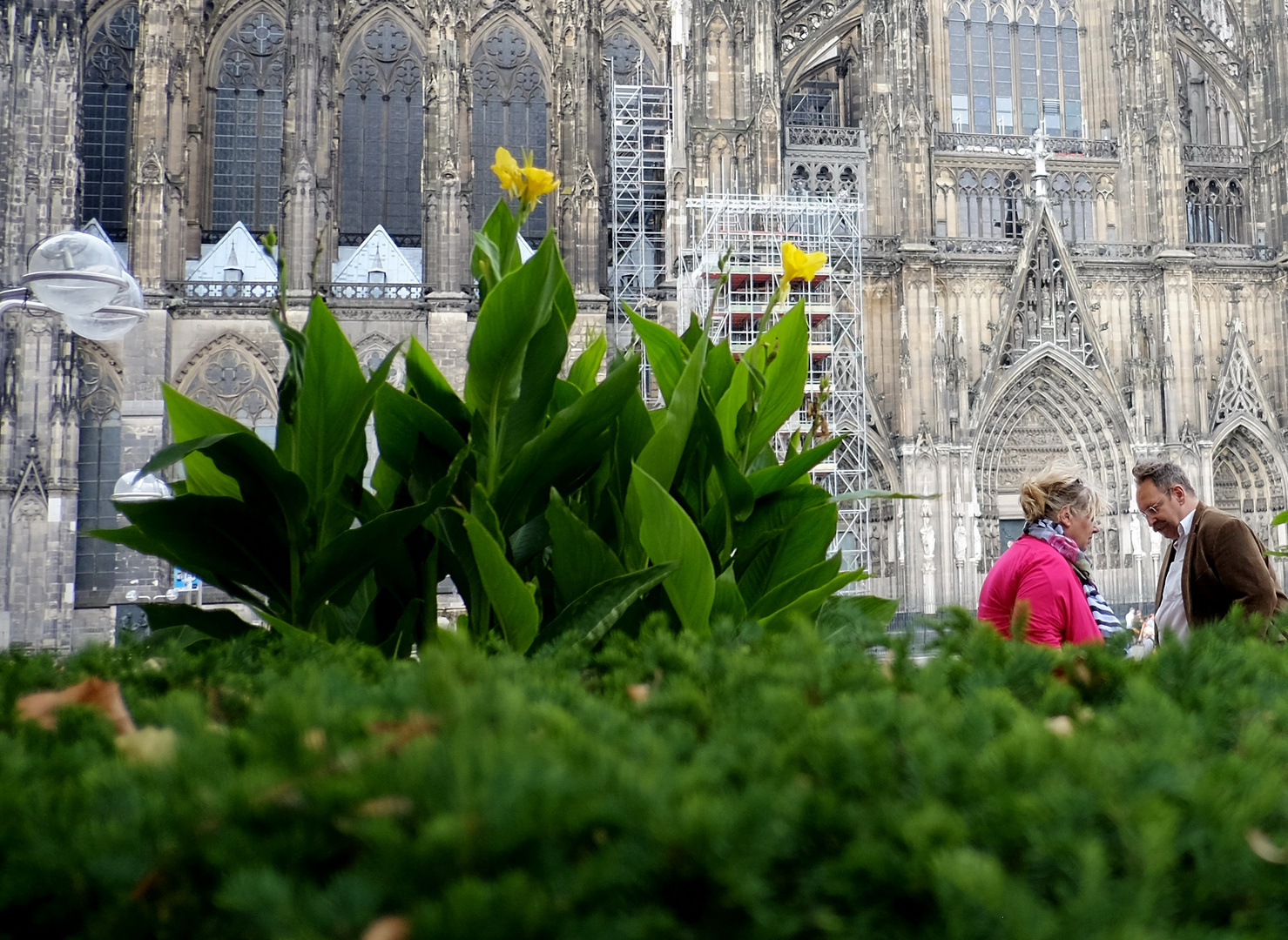 in die Büsche...