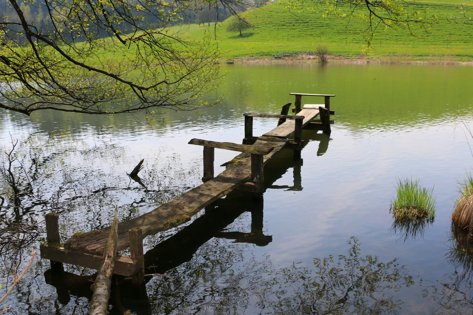 In die Jahre gekommen . . . . . . Foto & Bild landschaft, bach, fluss