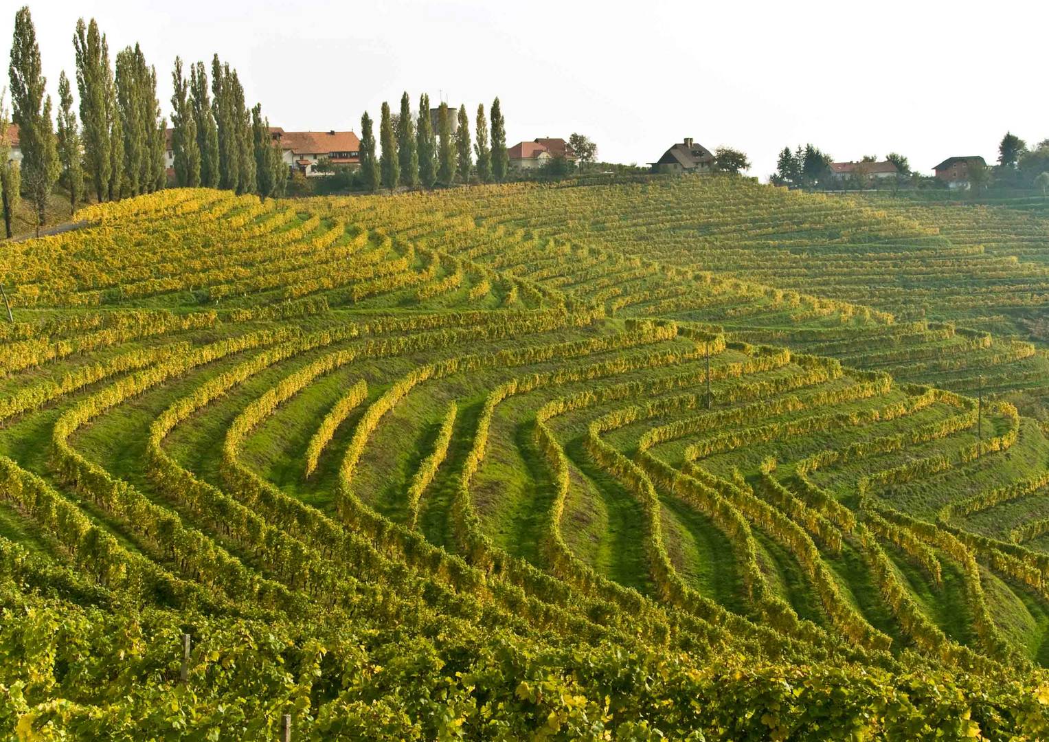 In die Landschaft gegossen