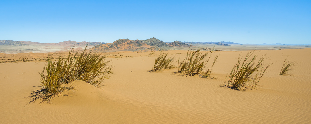 In die Namib !