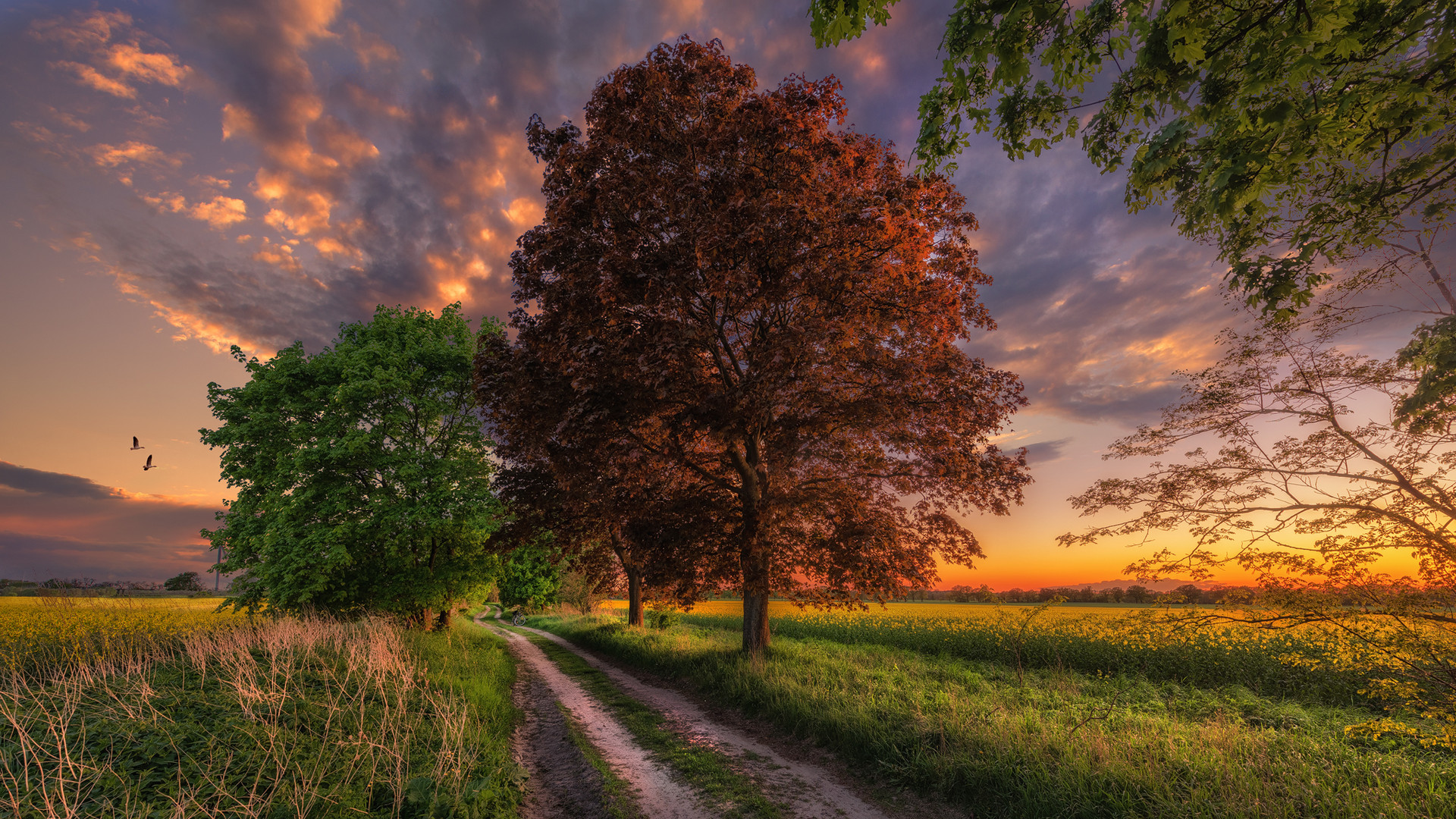 In die Natur ist ein Geheimnis der Liebe eingebaut.