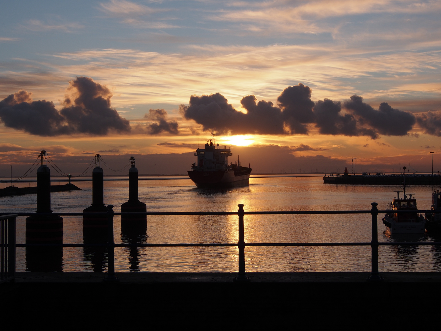 In die Nordsee entlassen