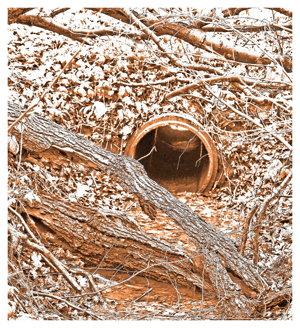 In die Röhre gucken Foto & Bild jahreszeiten, winter, konzept fotografie Bilder auf