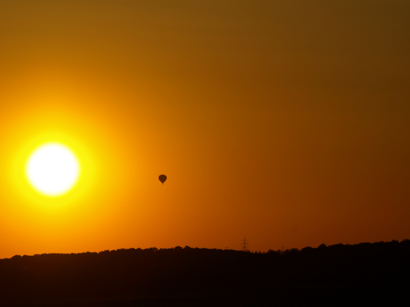 In die Sonne