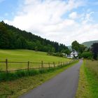 In die tiefsten Tiefen des Sauerlandes