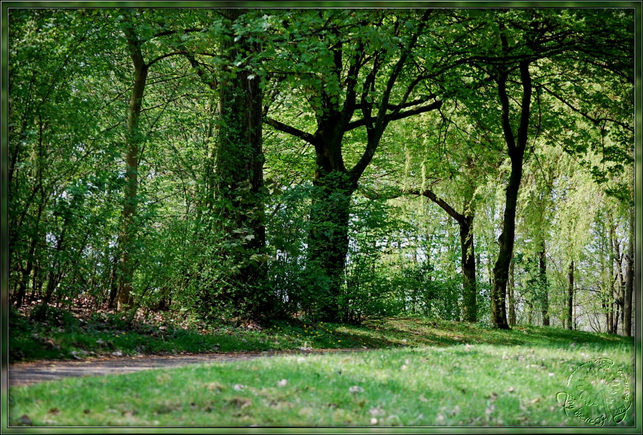 In diesem Park könnte es immer wieder.......................