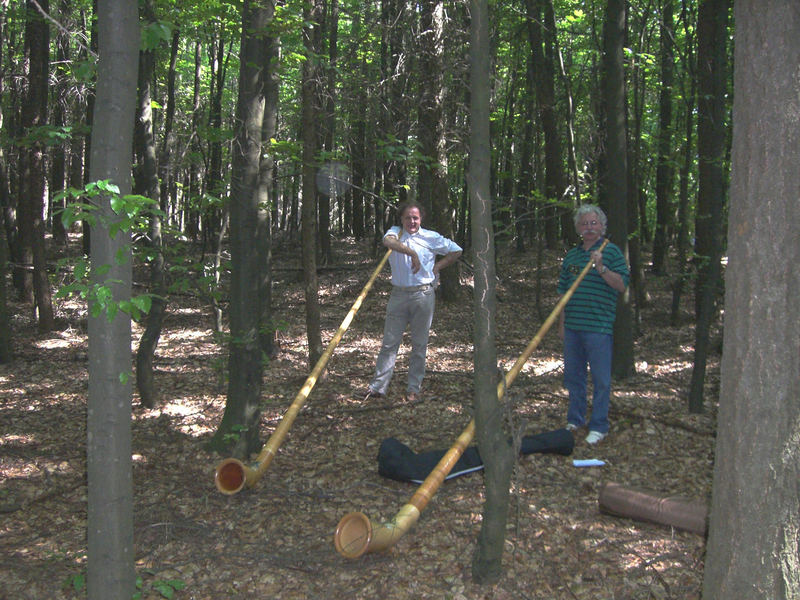 In diesem schönen Wald, daß Duo hörnerblasen schallt...