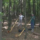 In diesem schönen Wald, daß Duo hörnerblasen schallt...