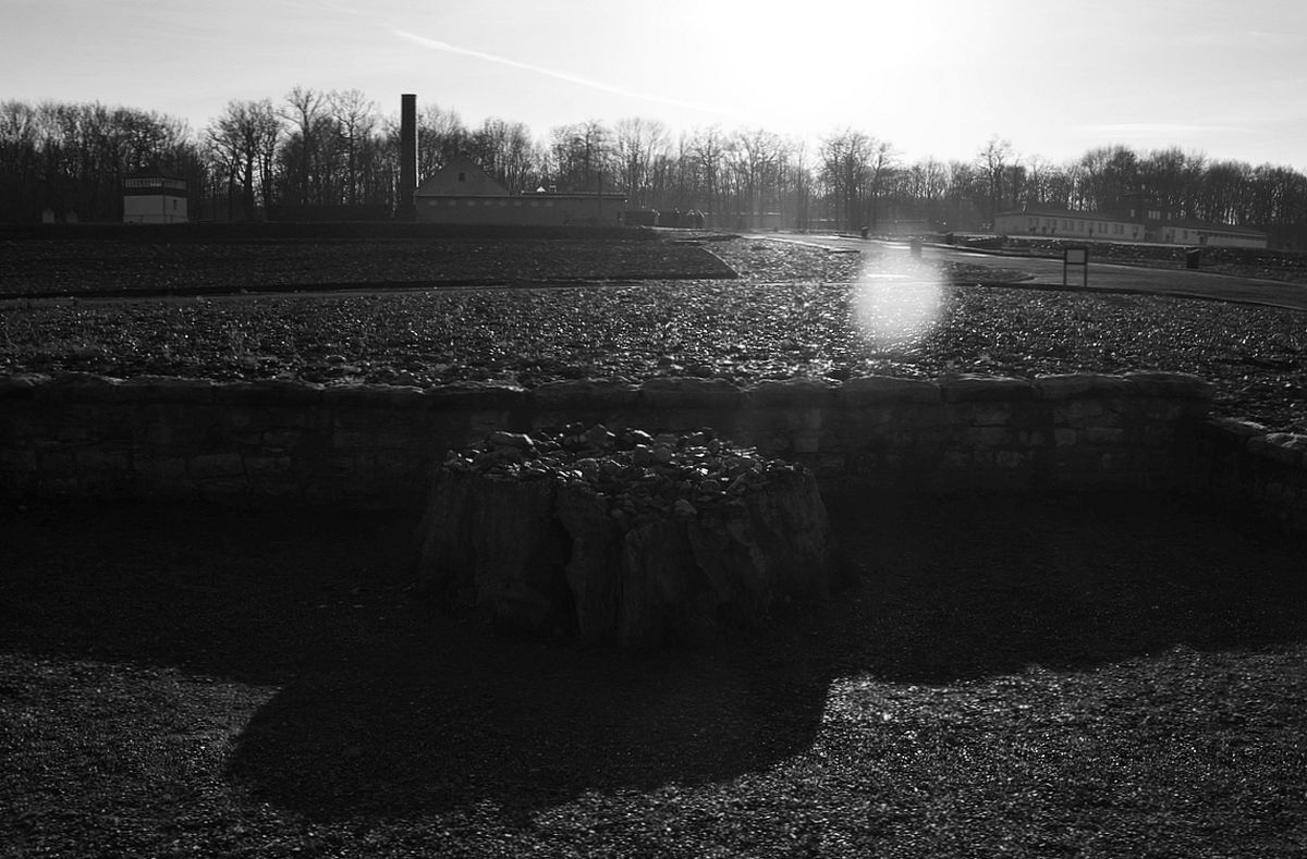 in diesen Tagen ... Goethe-Eiche im KZ Buchenwald