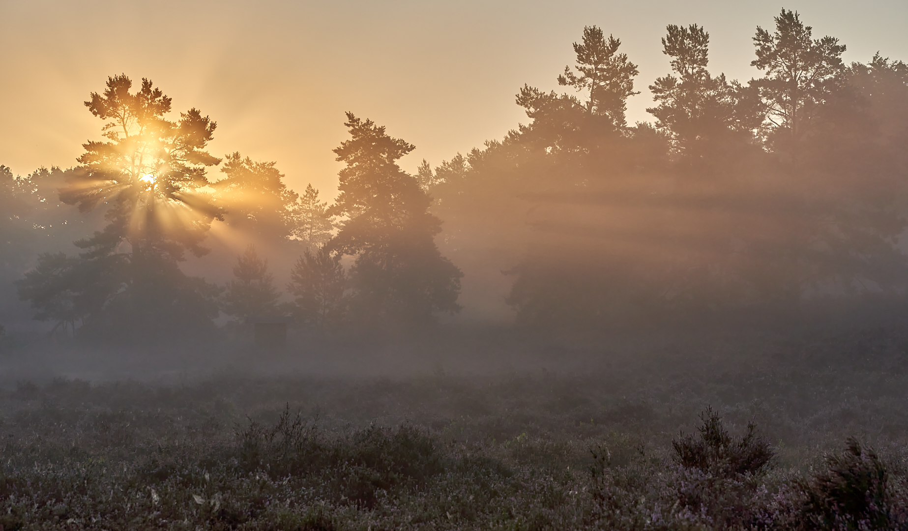 In dieser Mulde auf der Mehlinger Heide bleibt der Nebel am längsten stehen...