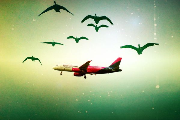 ... in different directions