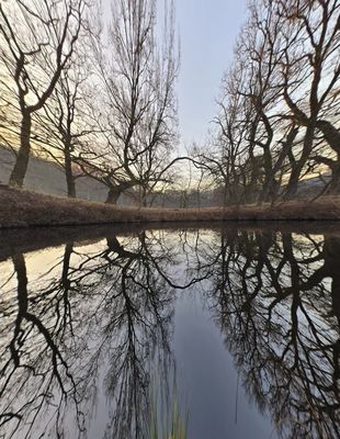 In doppelter Hin- Sicht ;-)