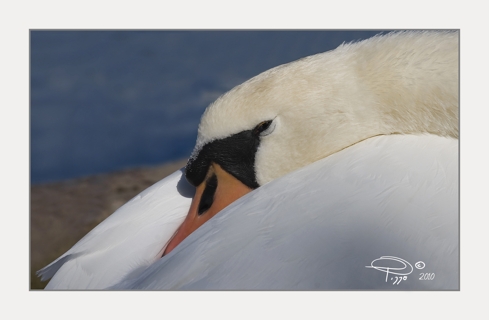 IN DORMIVEGLIA