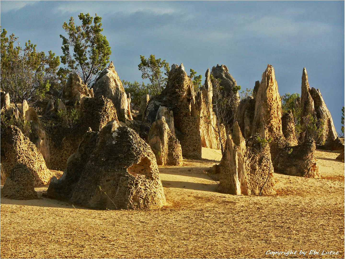 * In early morning light / Pinnacles Cervantis WA *