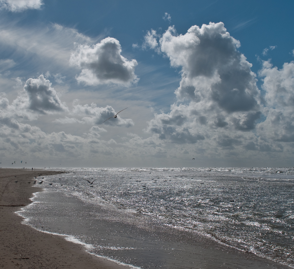 in Egmond am Zee