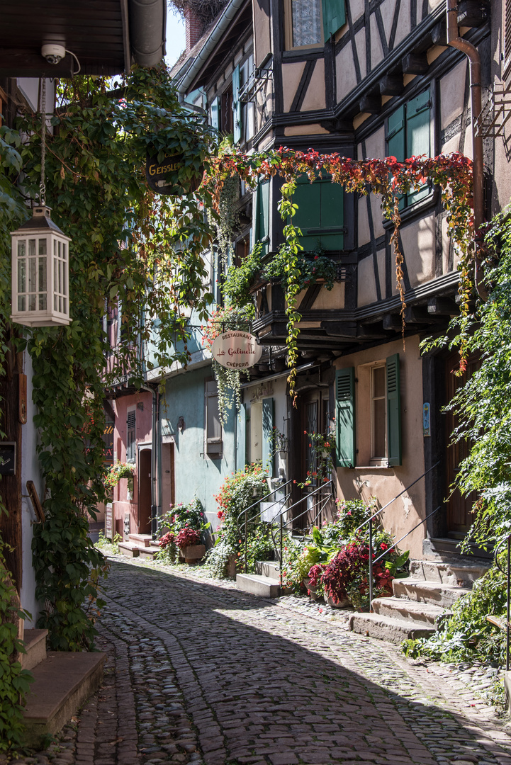 In Eguisheim