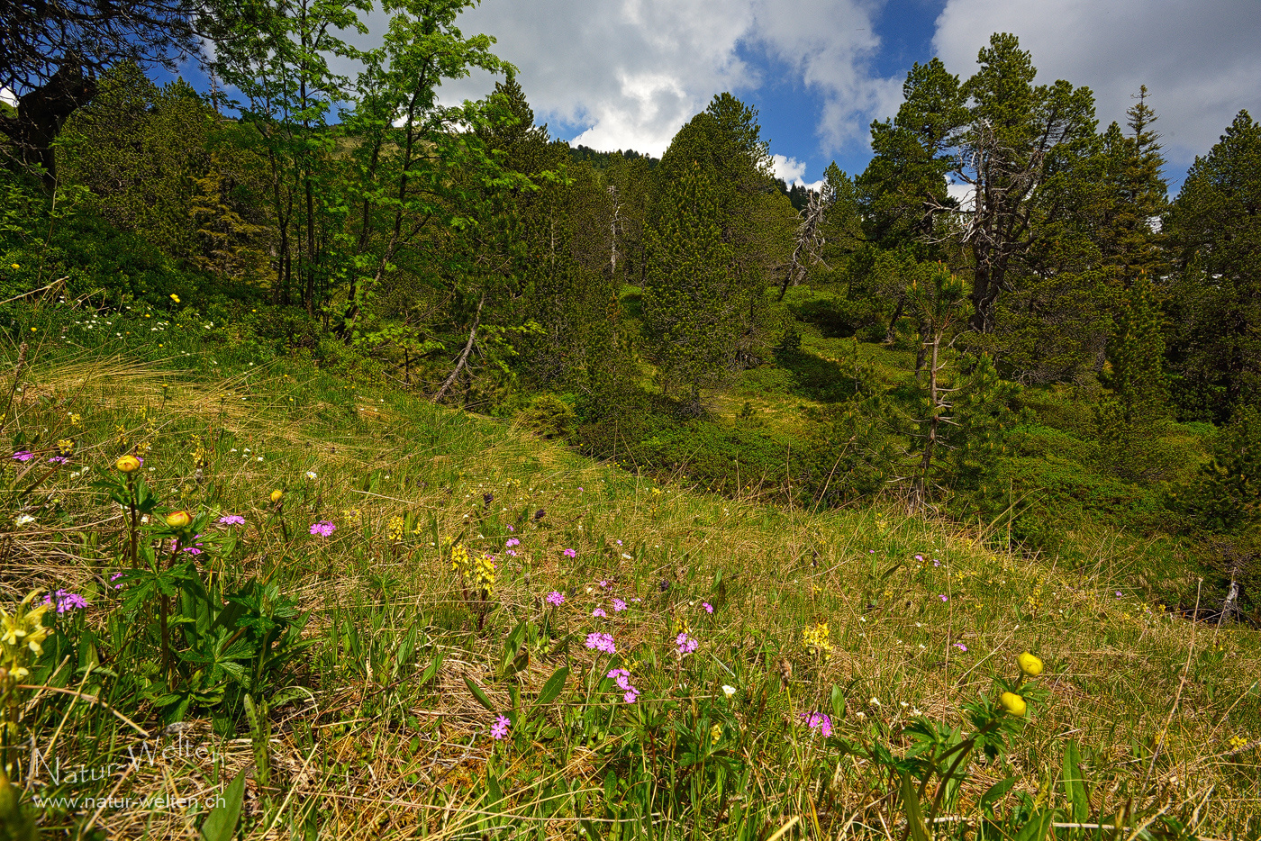 In Eile am Glaubenberg