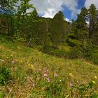 In Eile am Glaubenberg