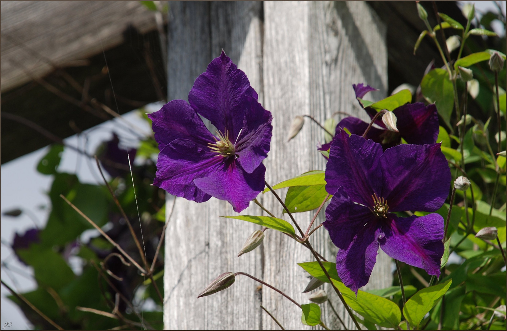 In eine Gartenecke